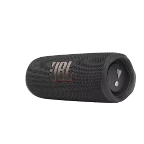 JBL Flip 6