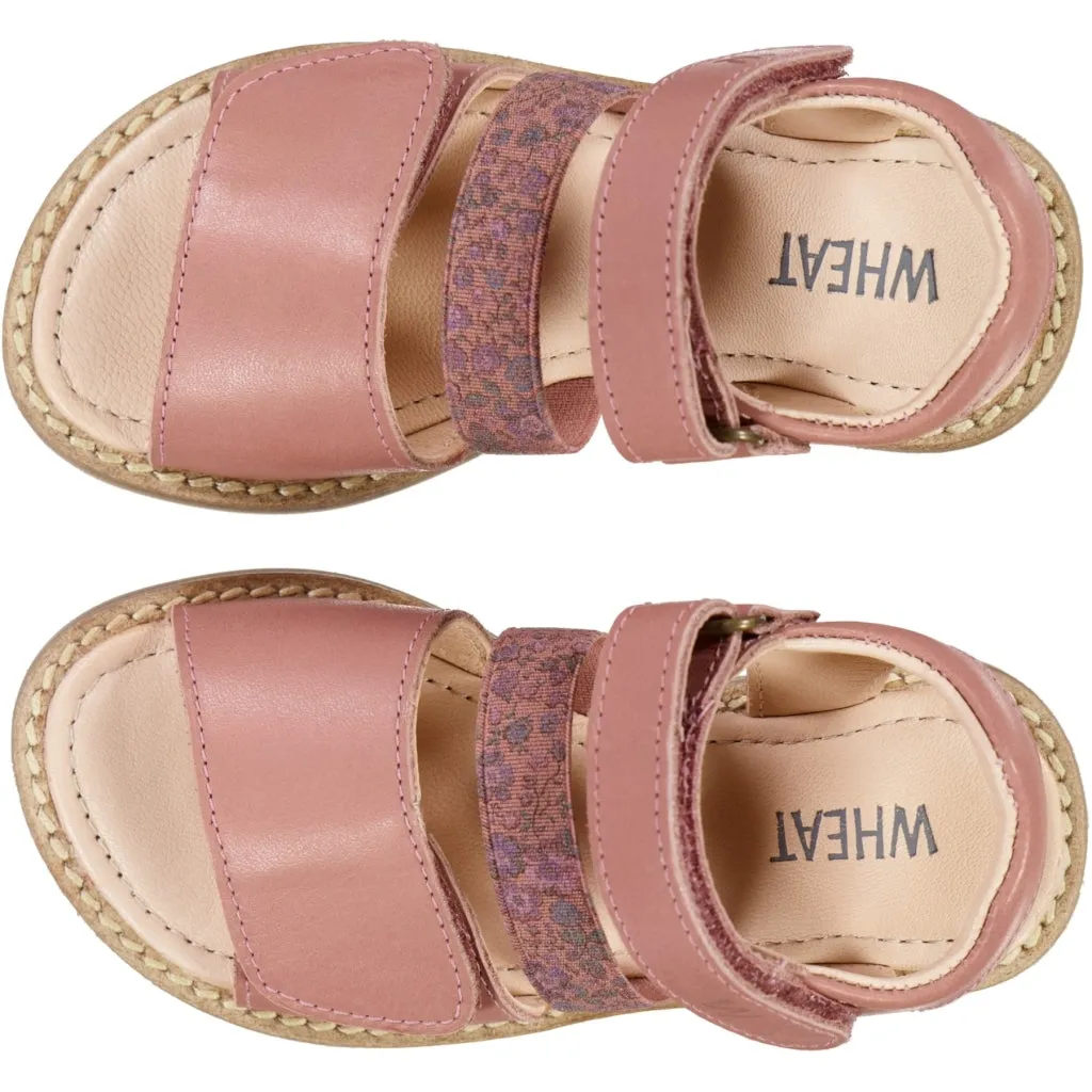 Taysom sandal - cameo blush